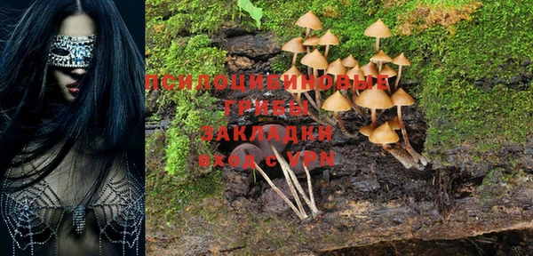 Альфа ПВП Новокубанск