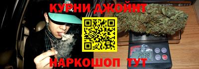 СК Дубна