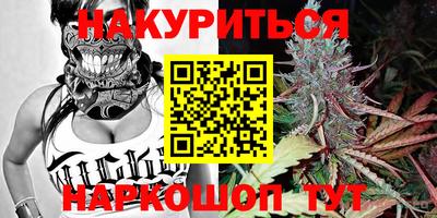 дмт Донской