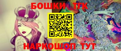 СК Дубна
