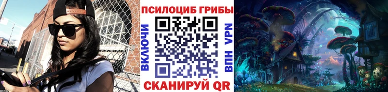 blacksprut Рассказово Псилоцибиновые грибы ЛСД
