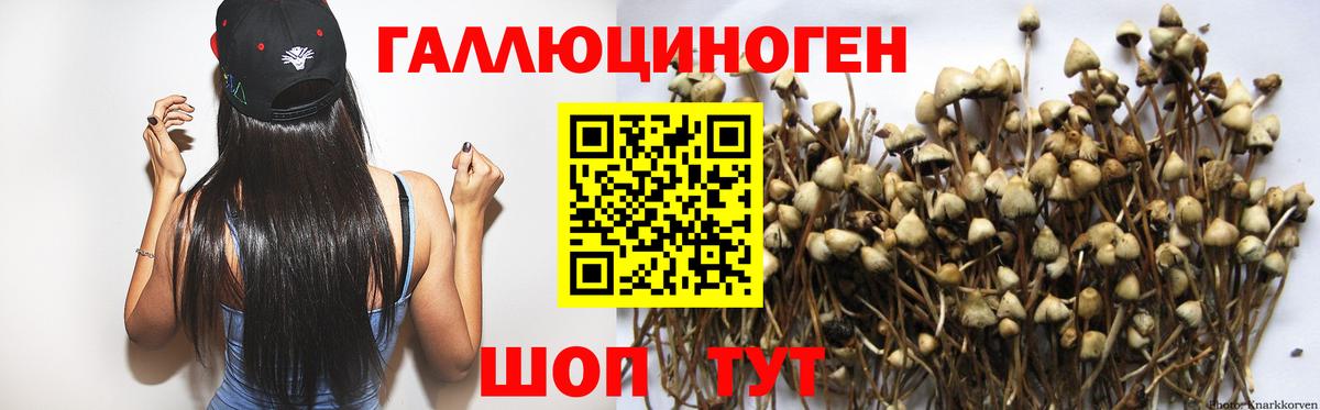 Псилоцибиновые грибы Cubensis Рассказово